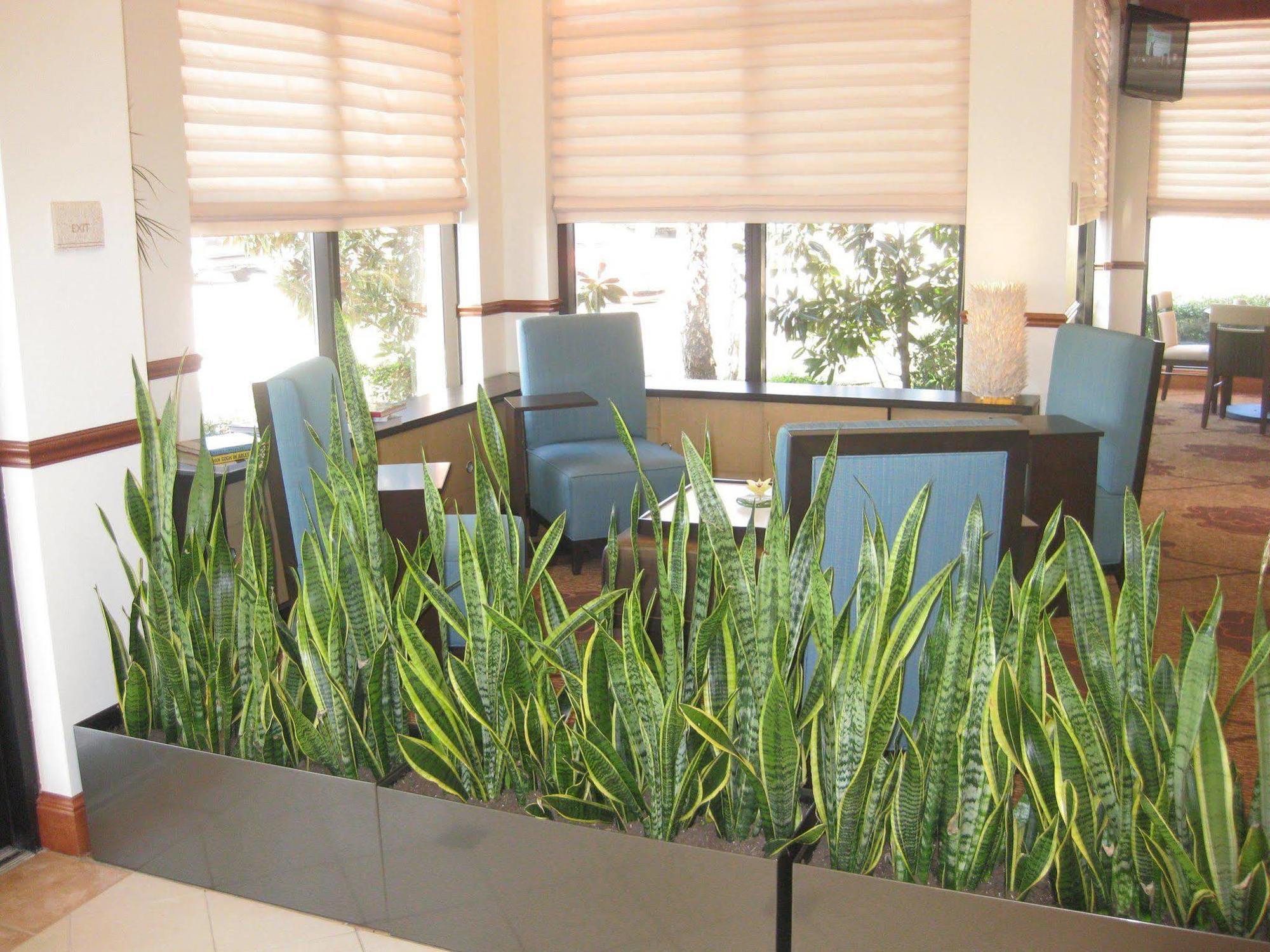 Courtyard By Marriott Dallas Arlington Entertainment District Kültér fotó